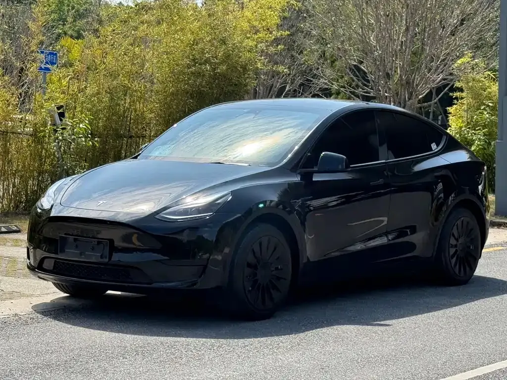 Tesla Model Y 2023 из CN, фото 1