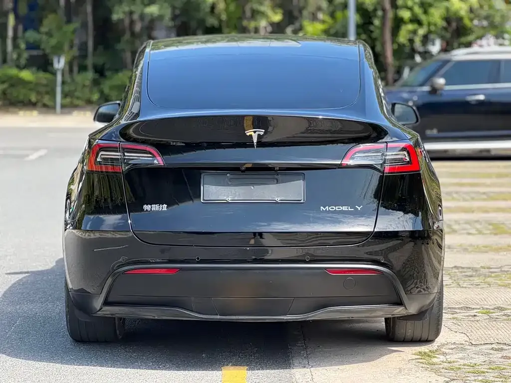 Tesla Model Y 2023 из CN, фото 7