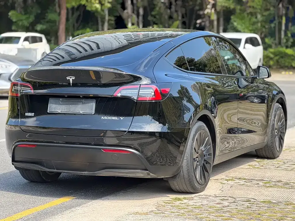 Tesla Model Y 2023 из CN, фото 9