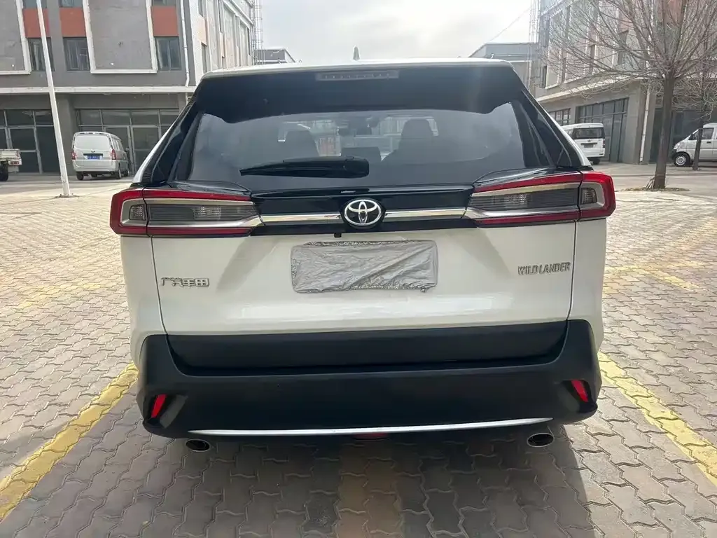 Toyota Wildlander 2023 из CN, фото 7