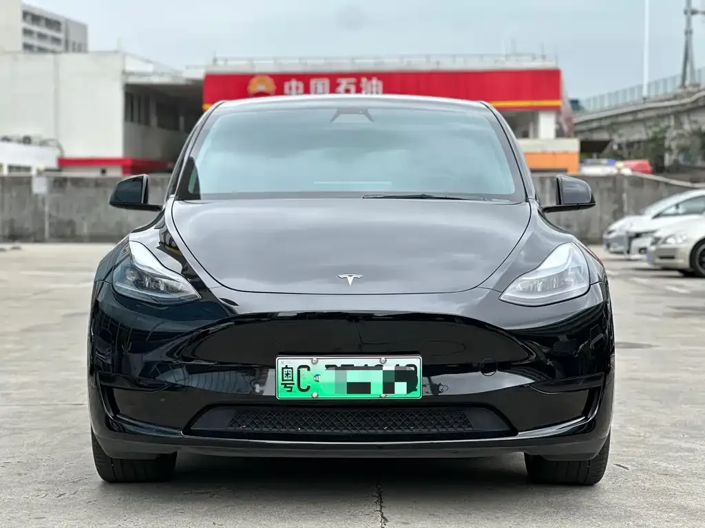 Tesla Model Y — фото 6
