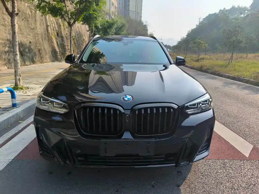 BMW X3 2022 из CN, фото 10