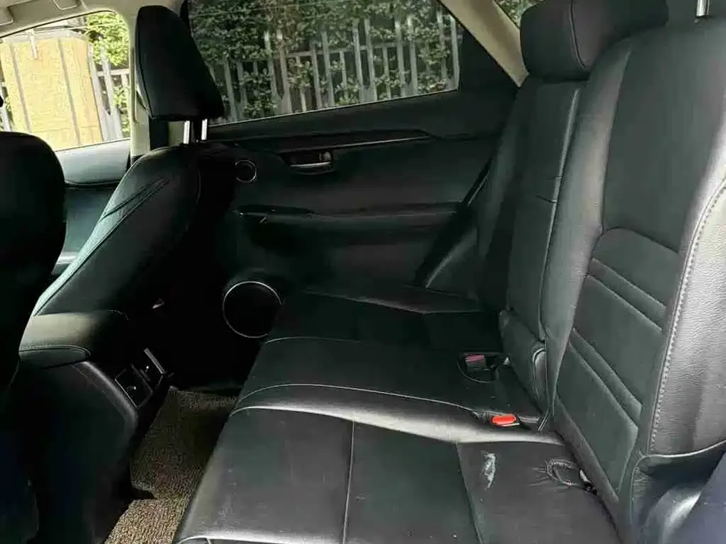 Lexus NX 2021 из CN, фото 4