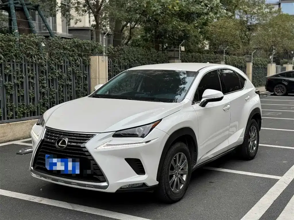 Lexus NX 2021 из CN, фото 9