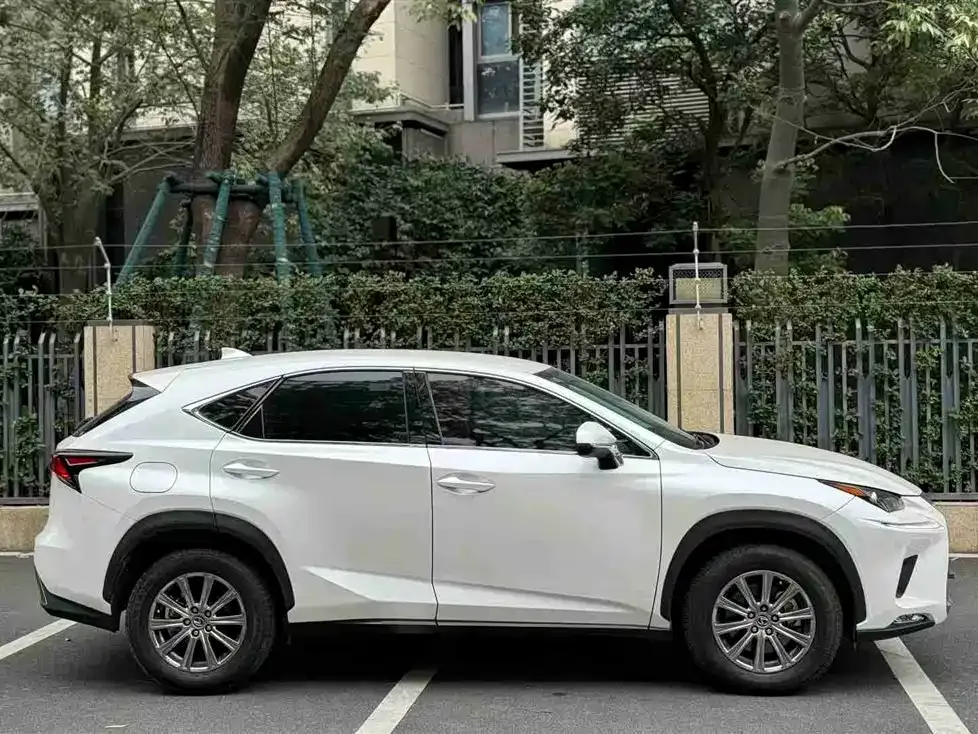 Lexus NX 2021 из CN, фото 8