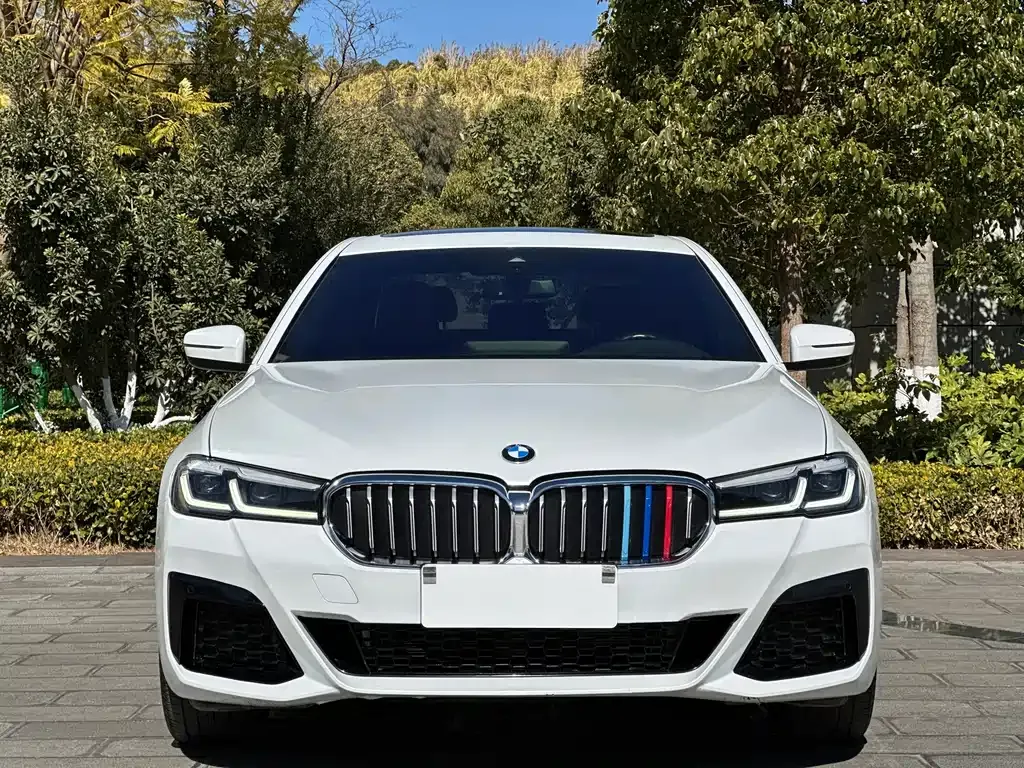 BMW 5 Series — фото 10