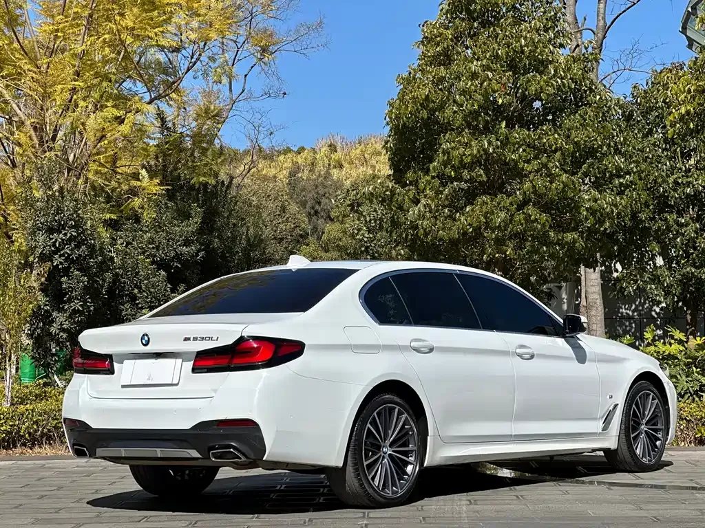 BMW 5 Series — фото 9