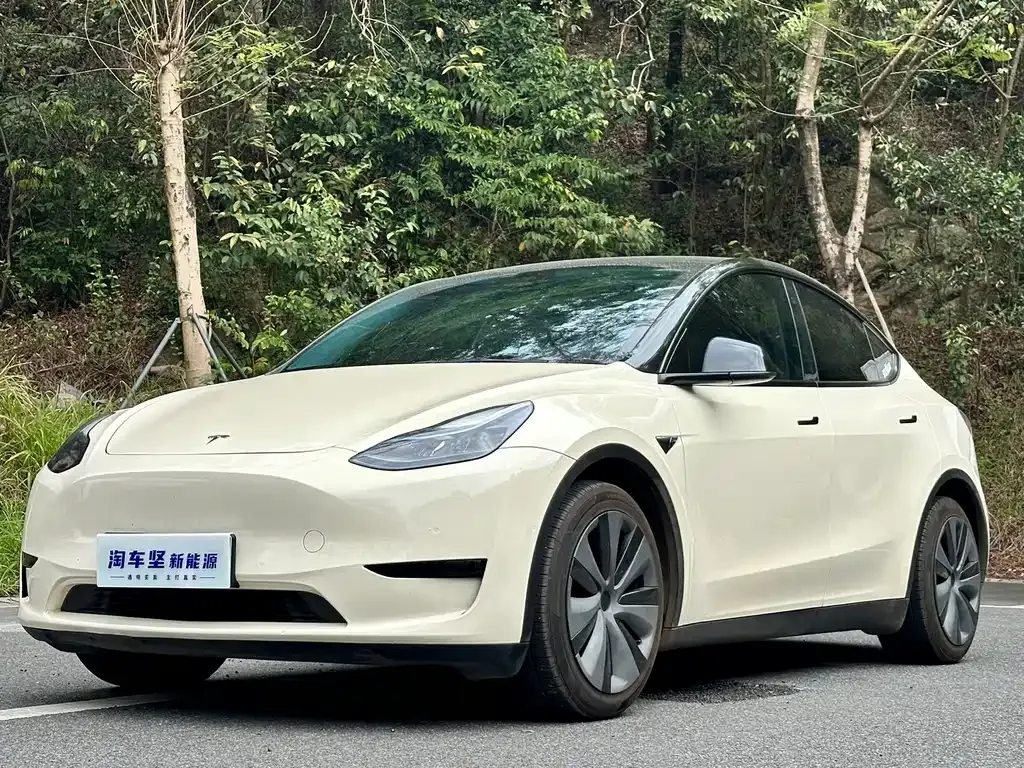 Tesla Model Y 2022 из CN, фото 1