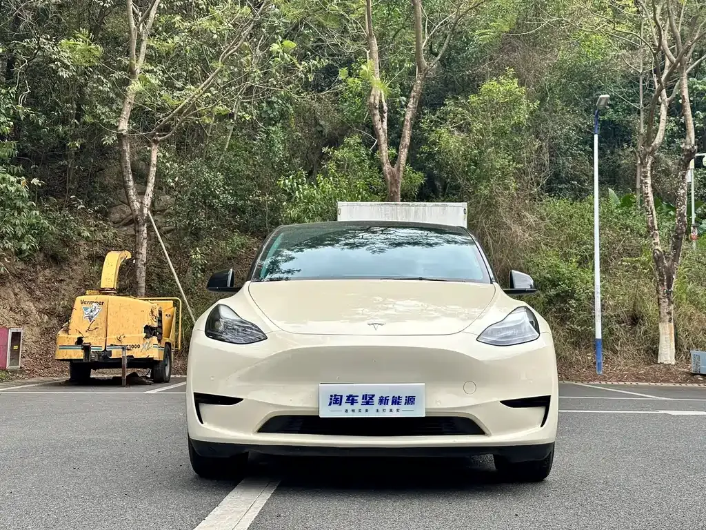 Tesla Model Y 2022 из CN, фото 5
