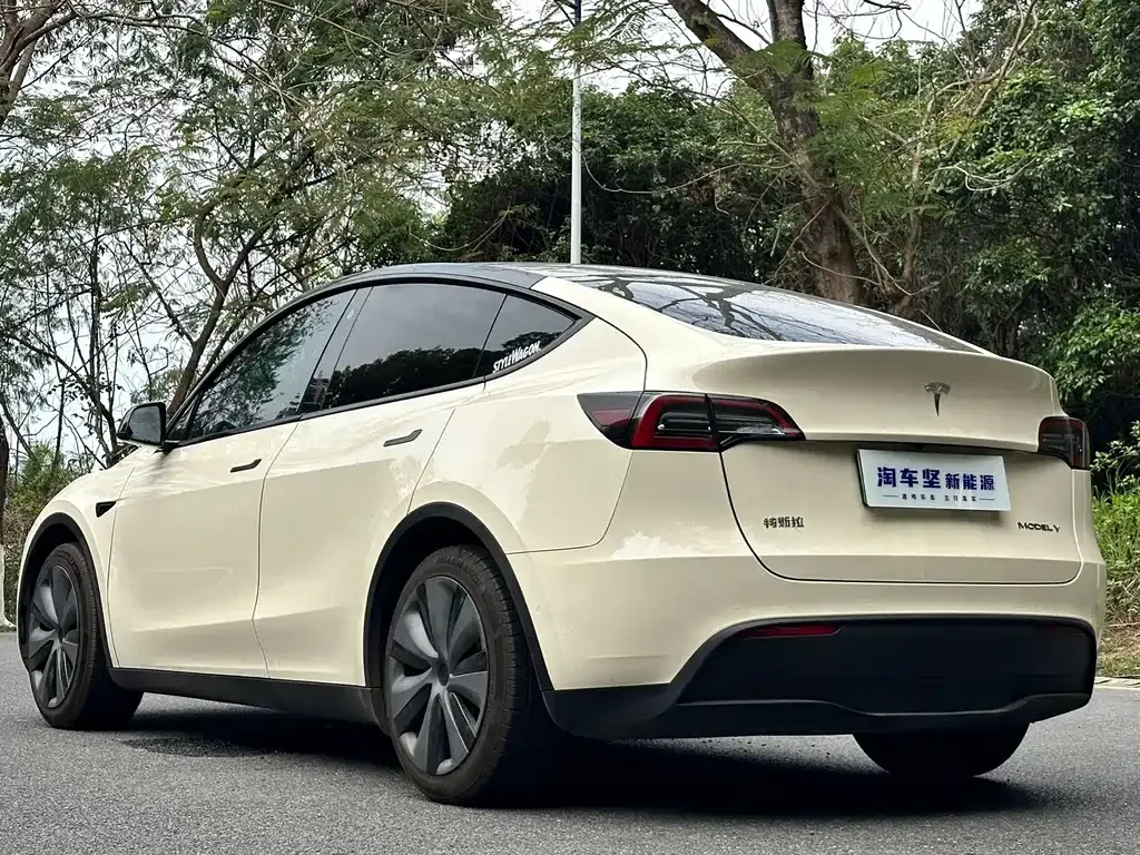 Tesla Model Y 2022 из CN, фото 7