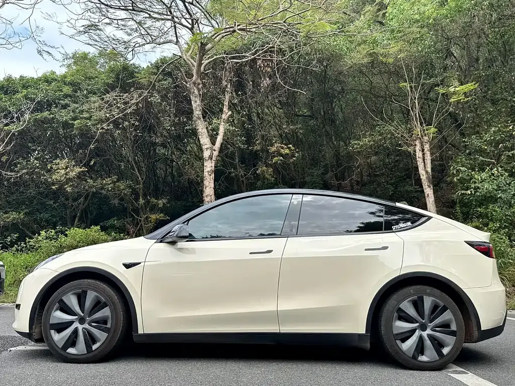 Tesla Model Y 2022 из CN, фото 6