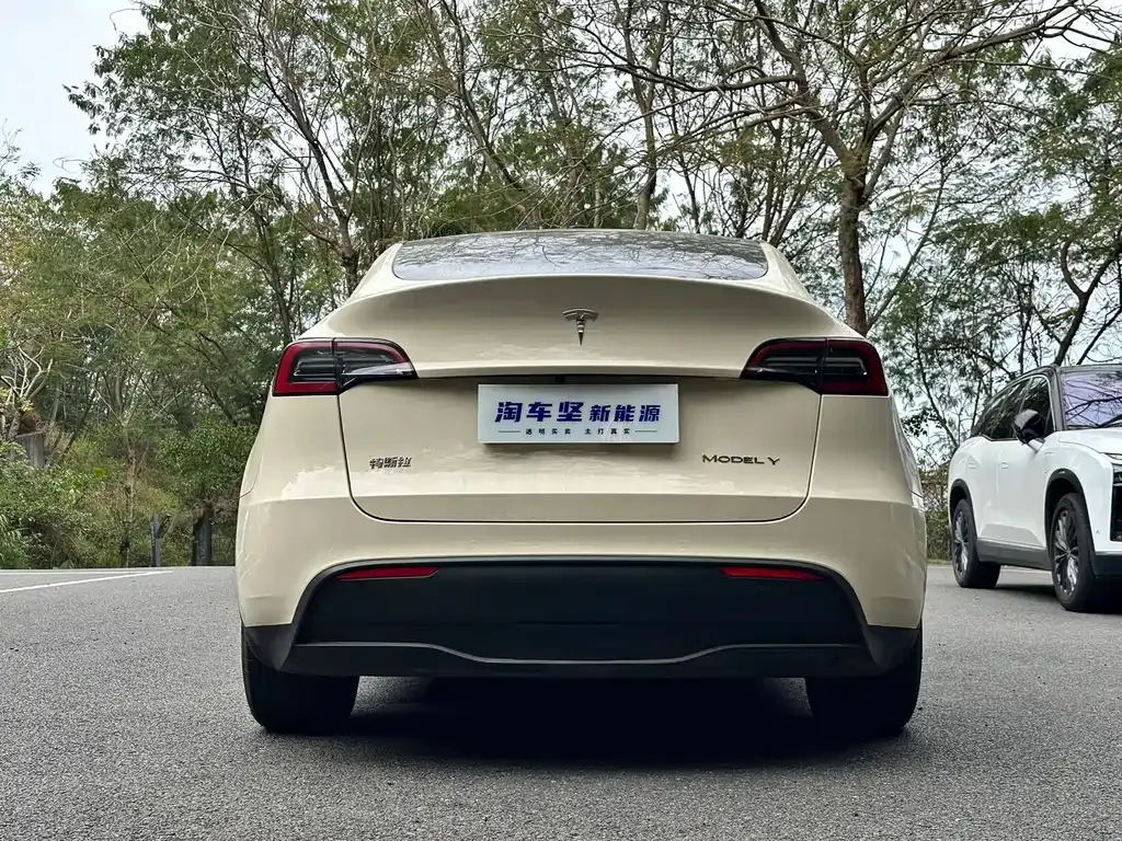 Tesla Model Y 2022 из CN, фото 10