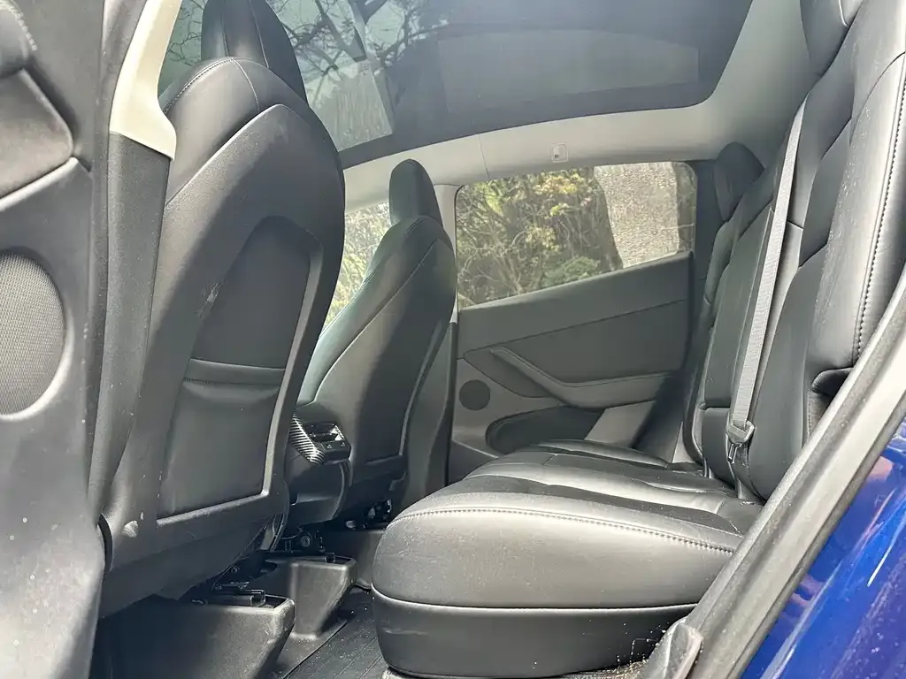 Tesla Model Y 2022 из CN, фото 4