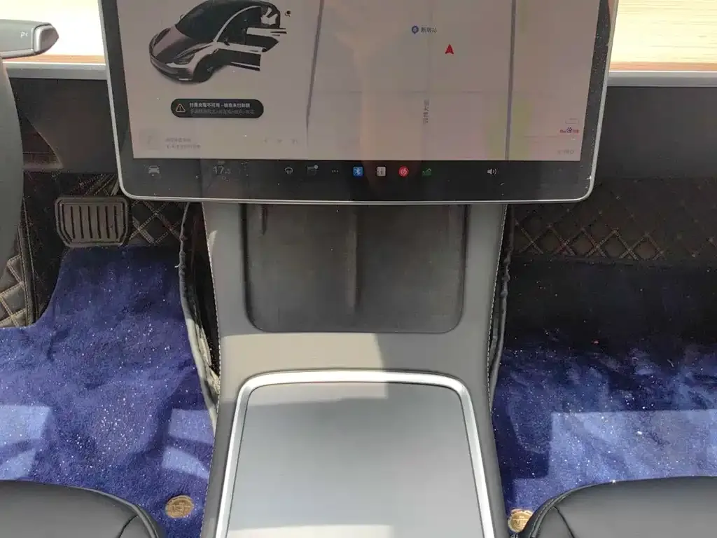 Tesla Model 3 2023 из CN, фото 3