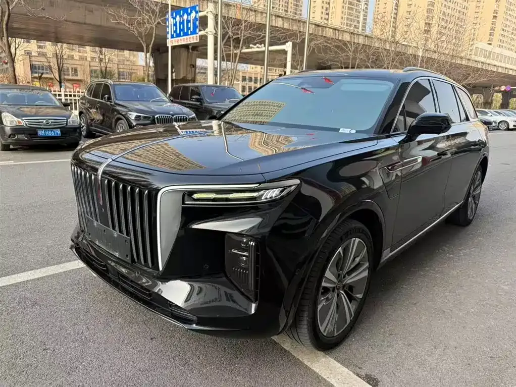 Hongqi E-HS9 — фото 5