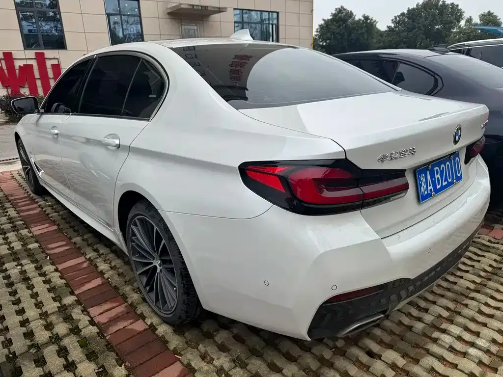 BMW 5 Series 2023 из CN, фото 10