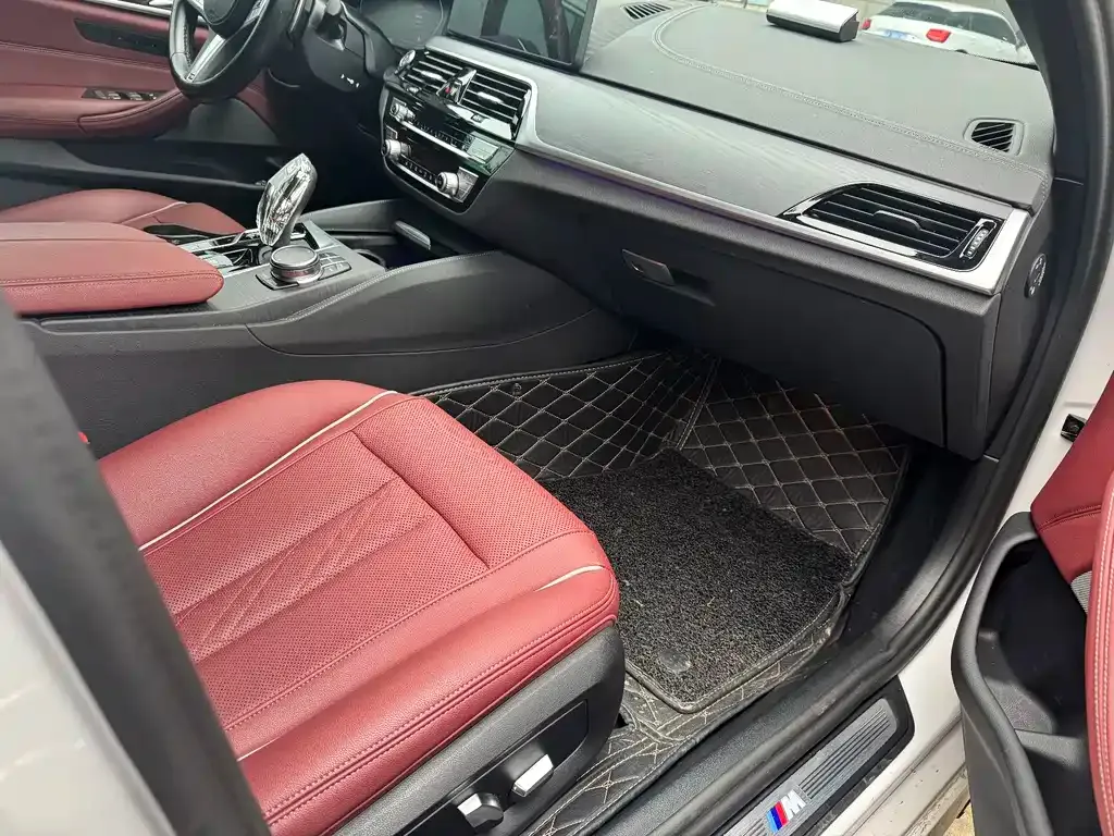 BMW 5 Series 2023 из CN, фото 5