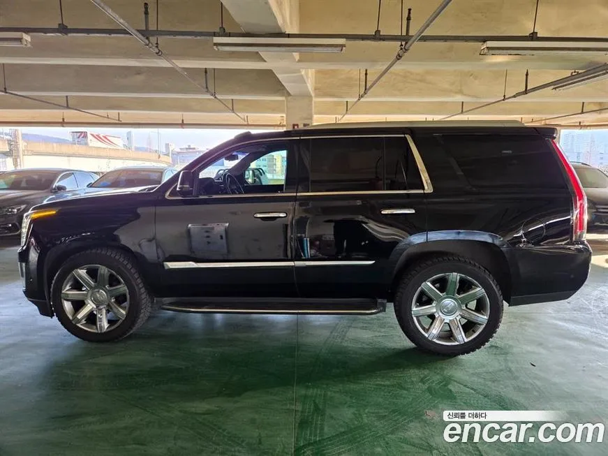 Renault Korea (Samsung) Master 2024 из KR, фото 2