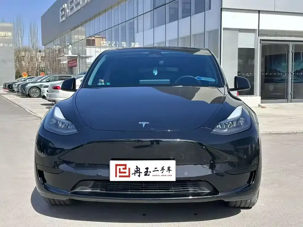 Tesla Model Y — фото 8