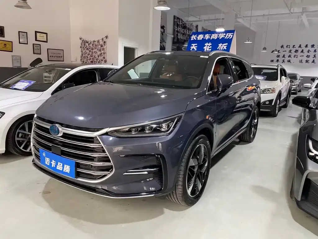 BYD Tang New Energy — фото 1