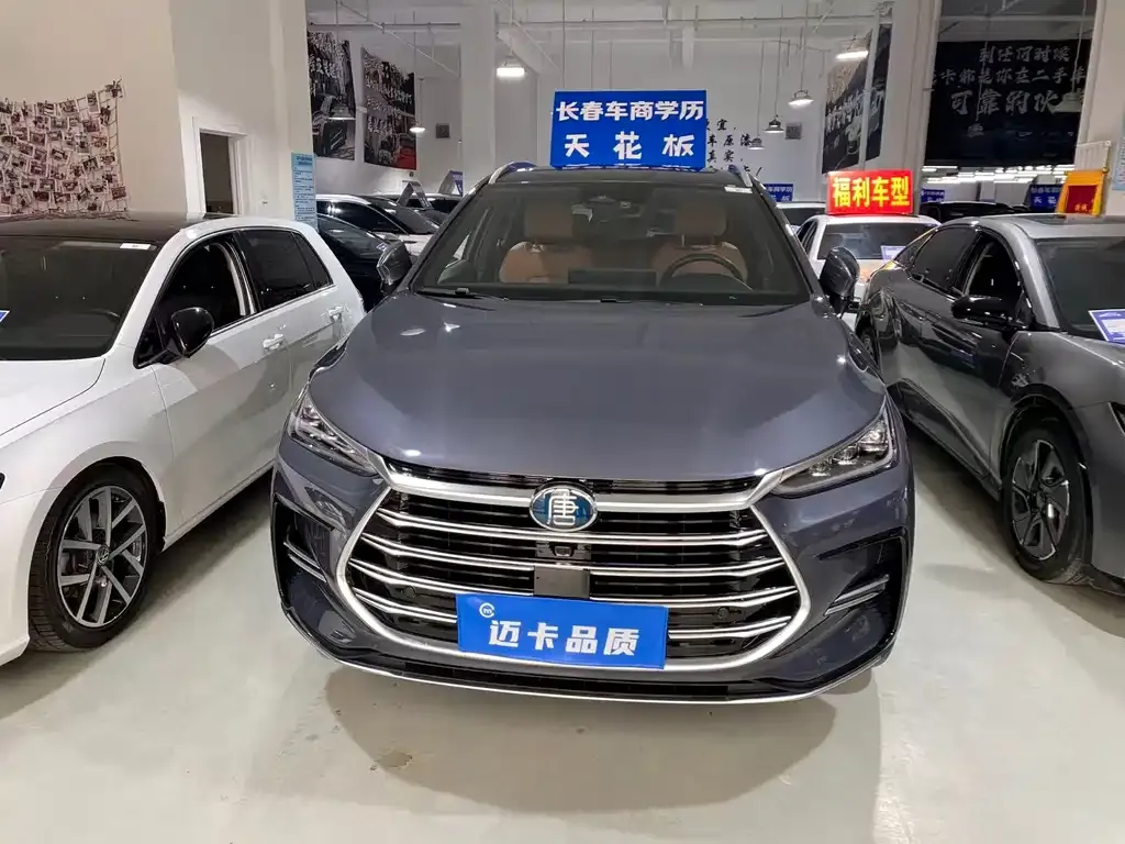 BYD Tang New Energy — фото 9