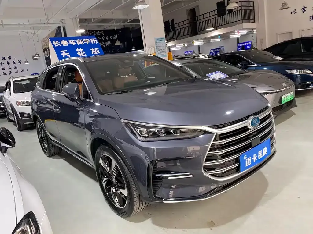 BYD Tang New Energy — фото 10