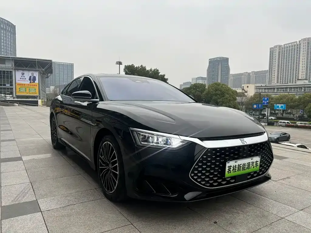 BYD Han — фото 10