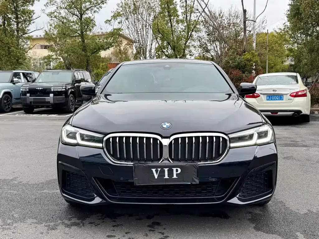 BMW 5 Series 2023 из CN, фото 8