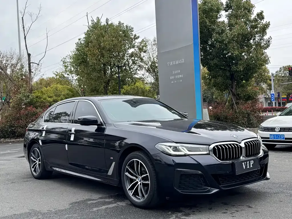 BMW 5 Series 2023 из CN, фото 9