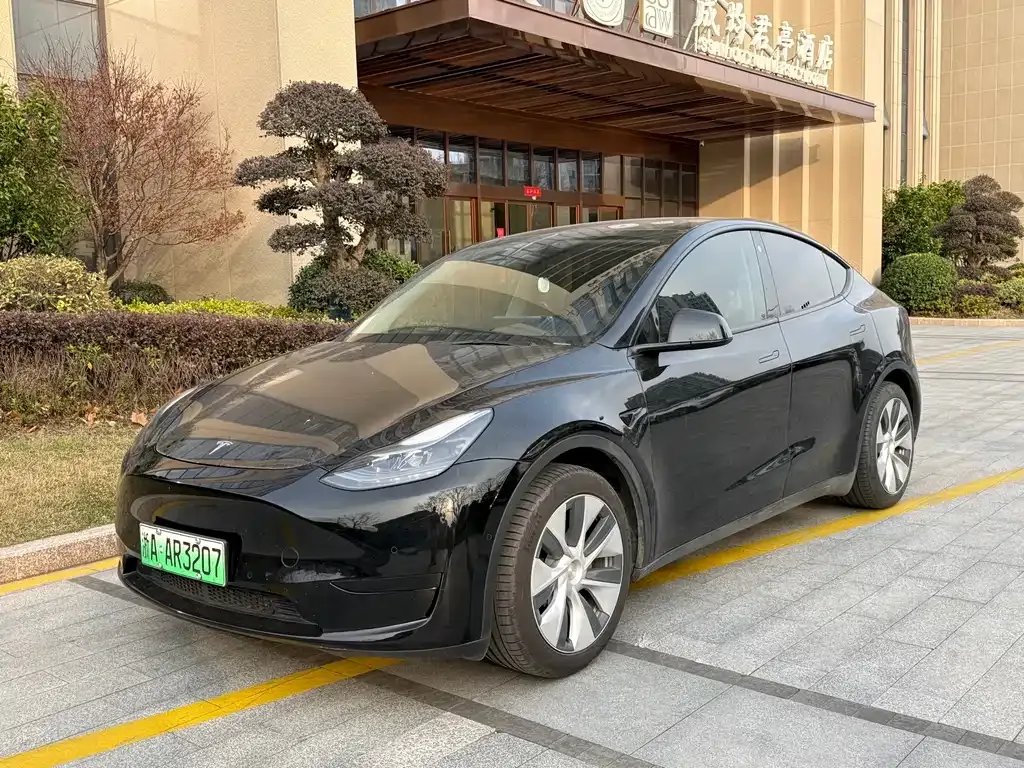 Tesla Model Y 2022 из CN, фото 1