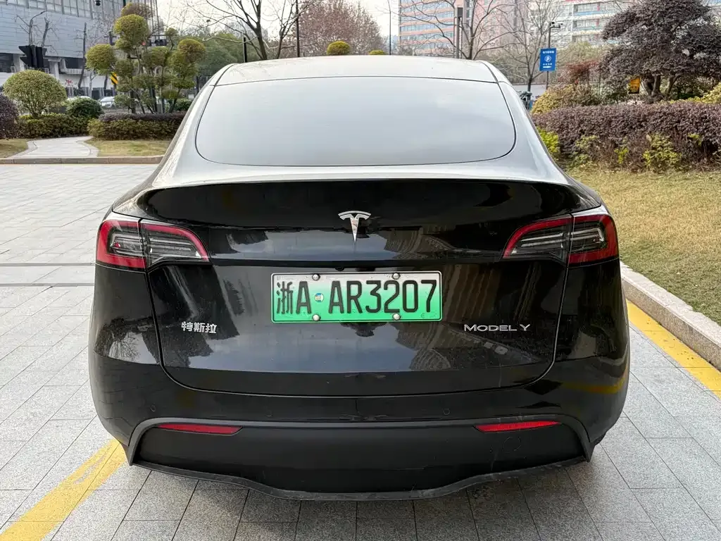 Tesla Model Y 2022 из CN, фото 5