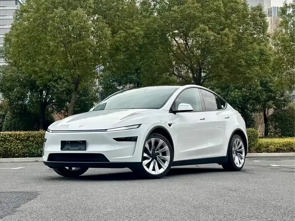 Tesla Model Y 2025 из CN, фото 1