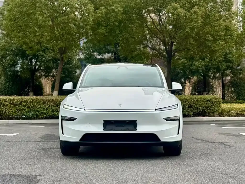 Tesla Model Y 2025 из CN, фото 2