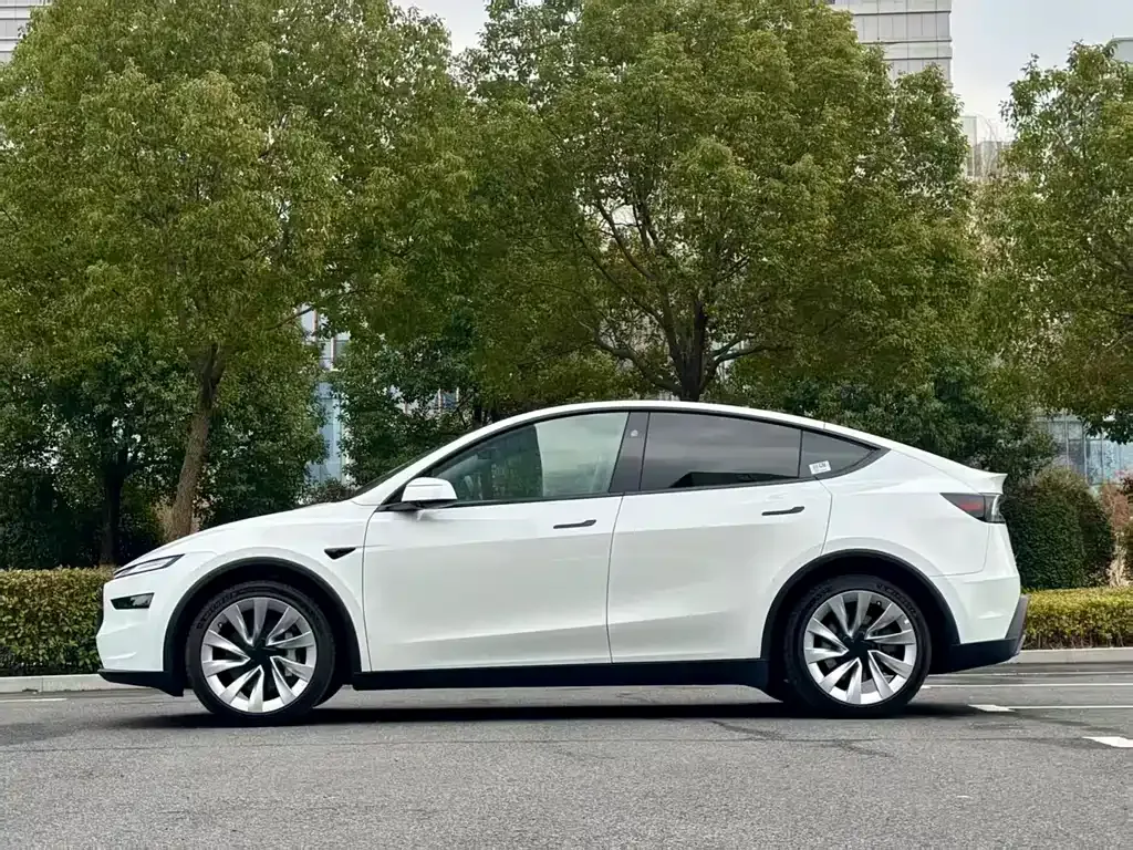 Tesla Model Y 2025 из CN, фото 6