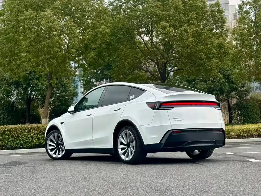 Tesla Model Y 2025 из CN, фото 4