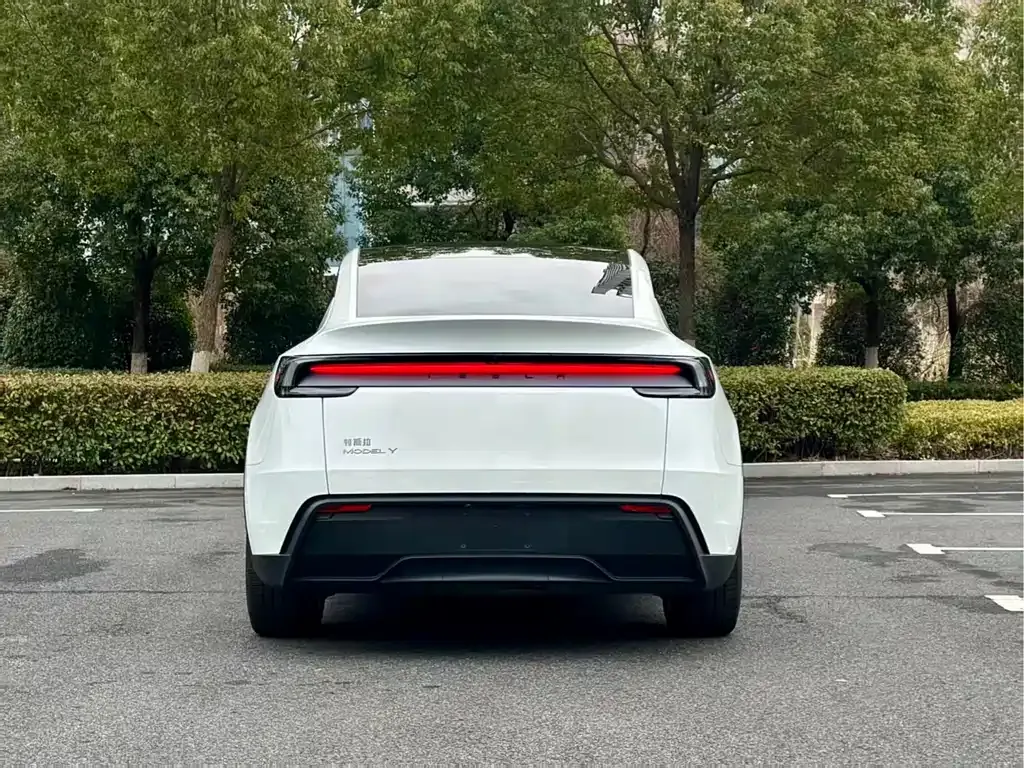 Tesla Model Y 2025 из CN, фото 9