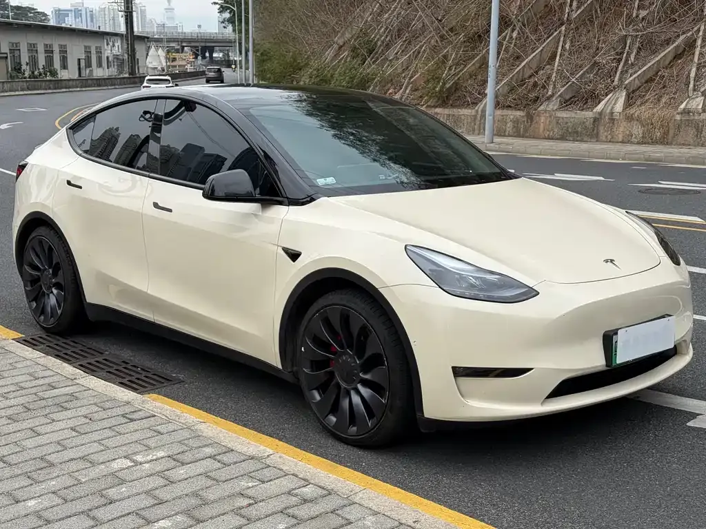 Tesla Model Y — фото 9