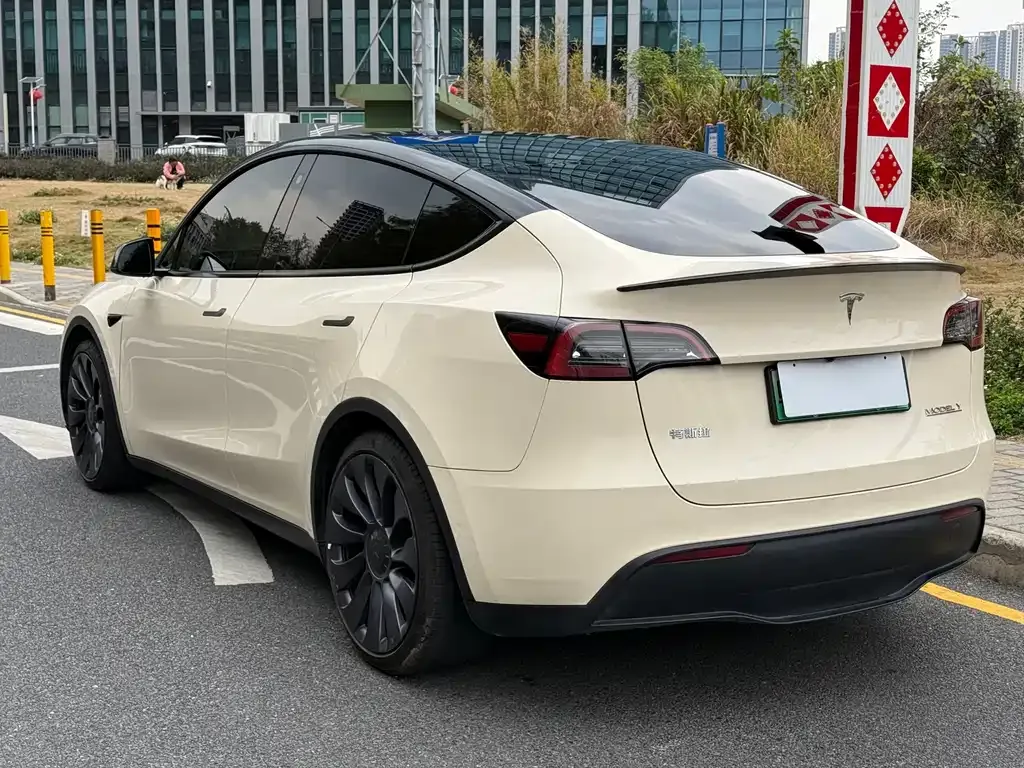 Tesla Model Y — фото 10