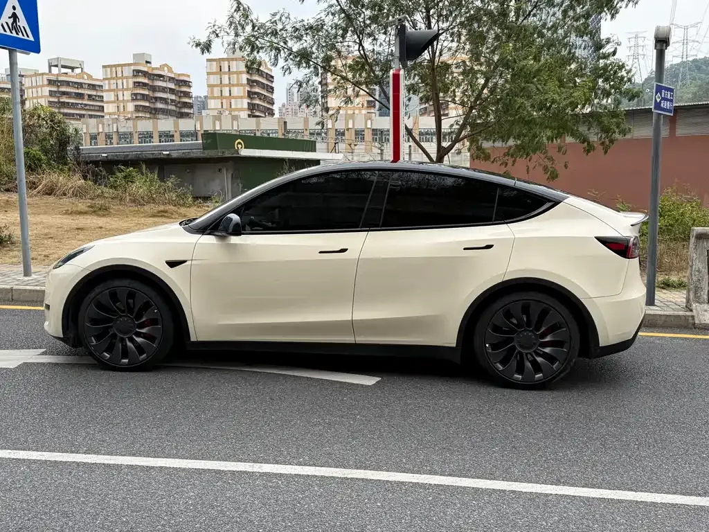 Tesla Model Y — фото 8