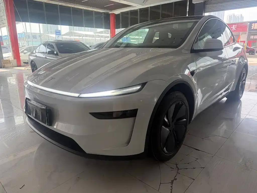 Tesla Model Y 2025 из CN, фото 1