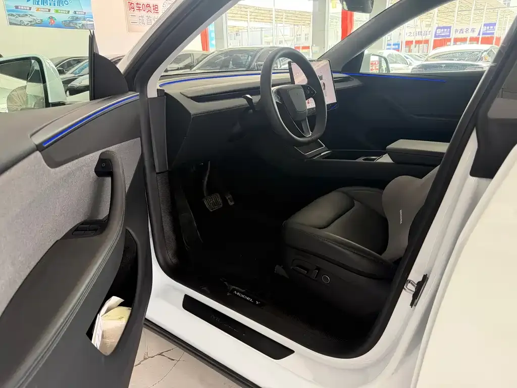Tesla Model Y 2025 из CN, фото 9