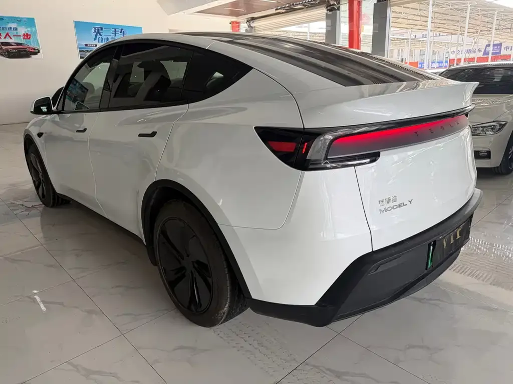 Tesla Model Y 2025 из CN, фото 7
