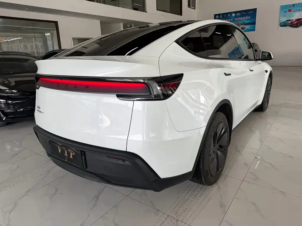 Tesla Model Y 2025 из CN, фото 6
