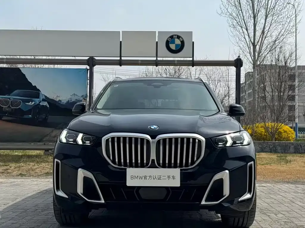 BMW X5 — фото 10