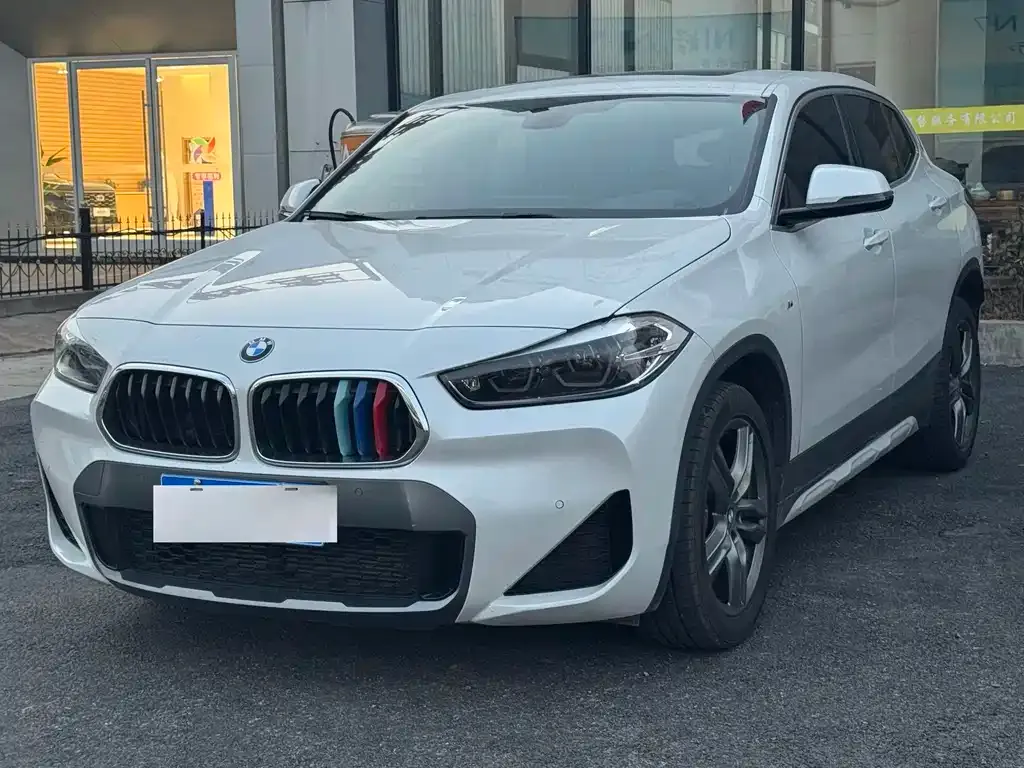 BMW X2 2021 из CN, фото 6