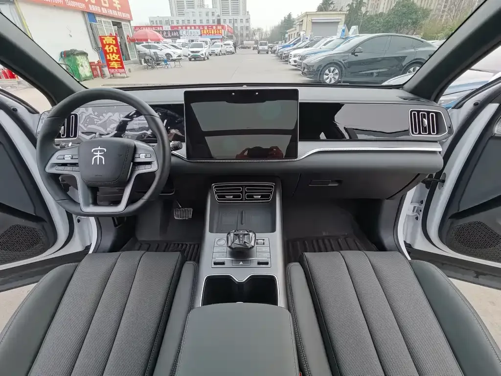 BYD Pro New Energy — фото 9