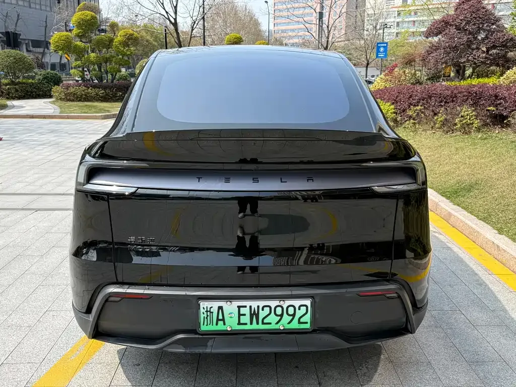 Tesla Model Y L 2025 из CN, фото 9