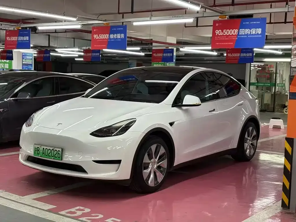 Tesla Model Y — фото 1