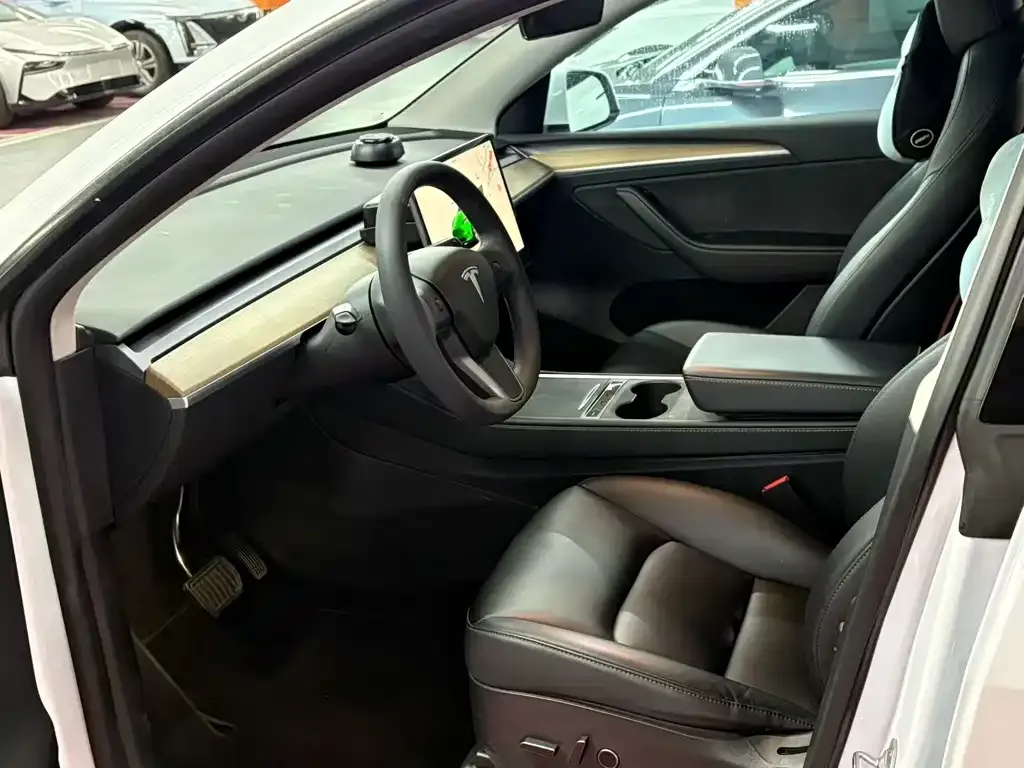 Tesla Model Y — фото 9