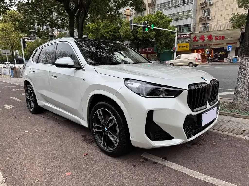 BMW X1 — фото 3
